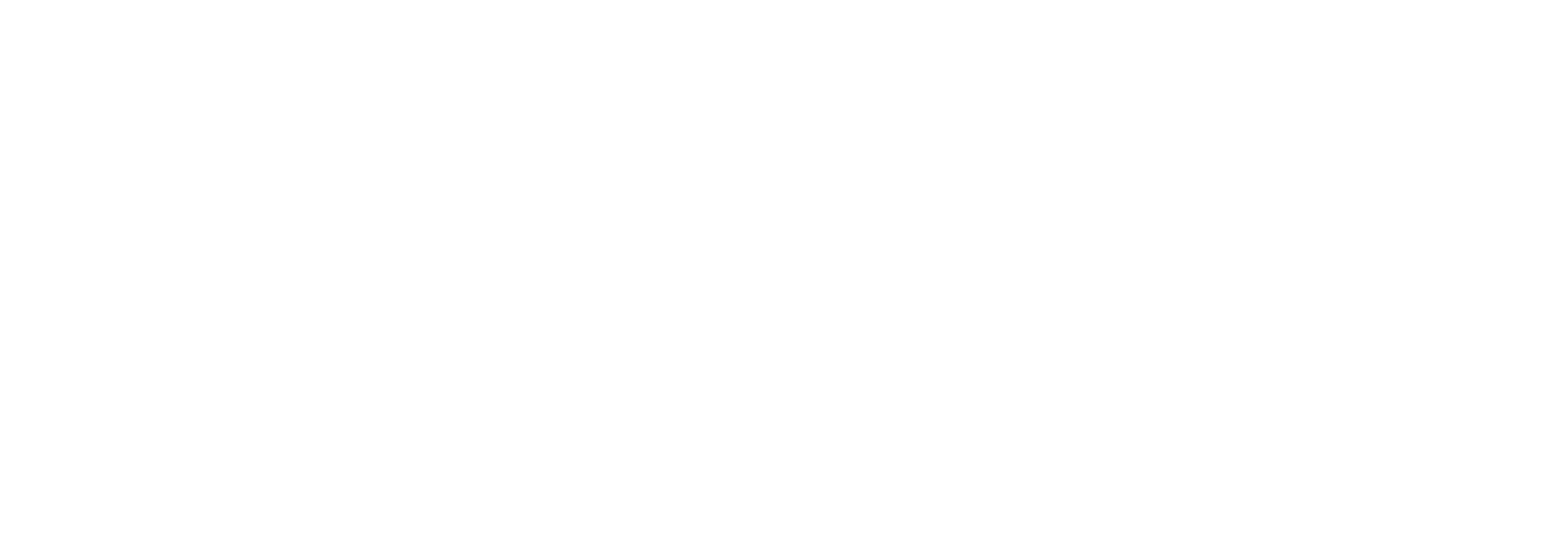 Nokta Oto
